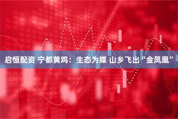 启恒配资 宁都黄鸡：生态为媒 山乡飞出“金凤凰”