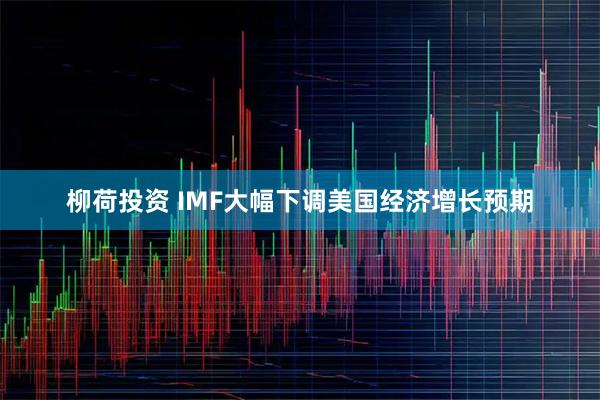 柳荷投资 IMF大幅下调美国经济增长预期