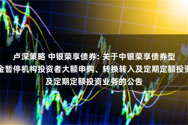 卢深策略 中银荣享债券: 关于中银荣享债券型证券投资基金暂停机构投资者大额申购、转换转入及定期定额投资业务的公告