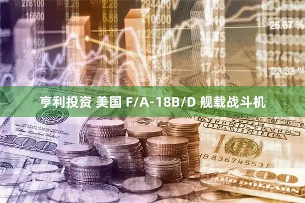 亨利投资 美国 F/A-18B/D 舰载战斗机